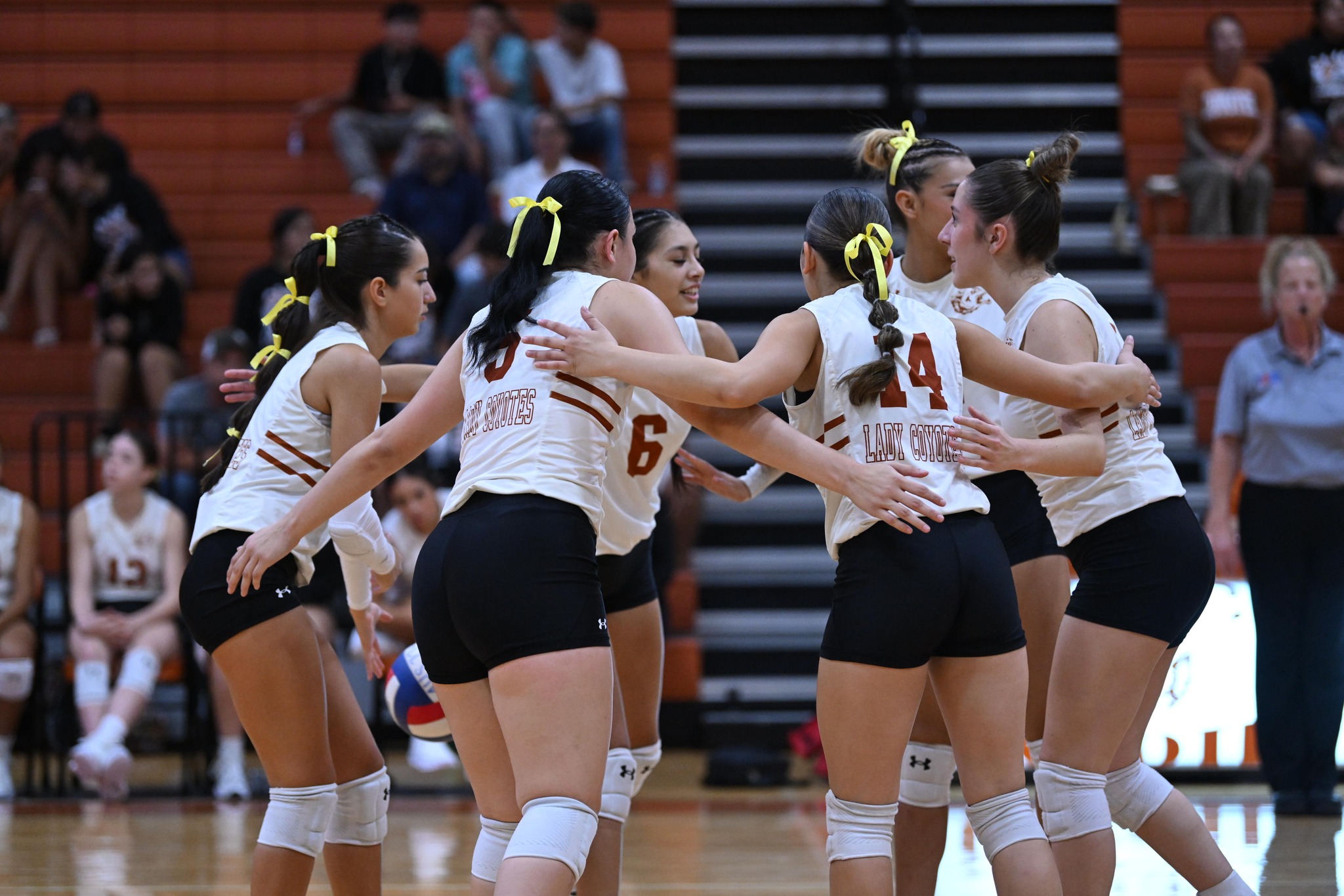 volleyball